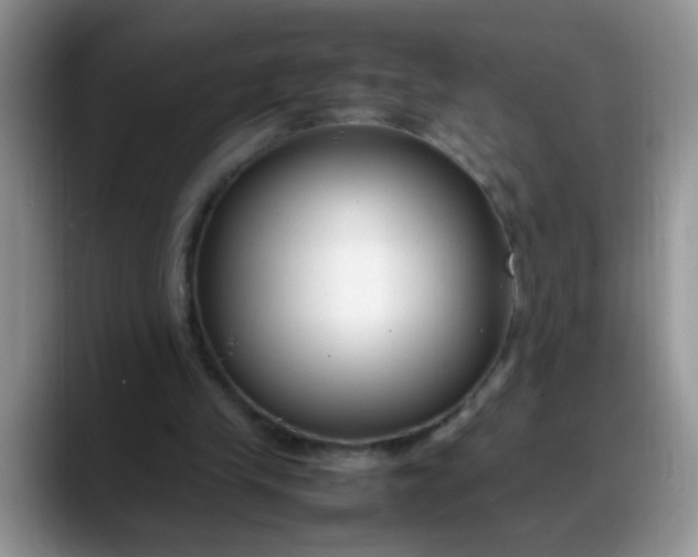 X0000088170245200705291937