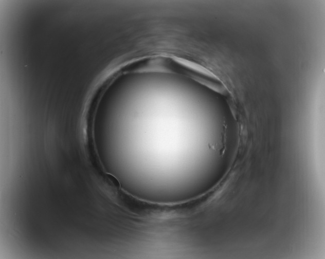 X0000088170246200705291937