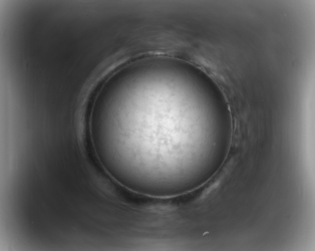 X0000088170247200705291937