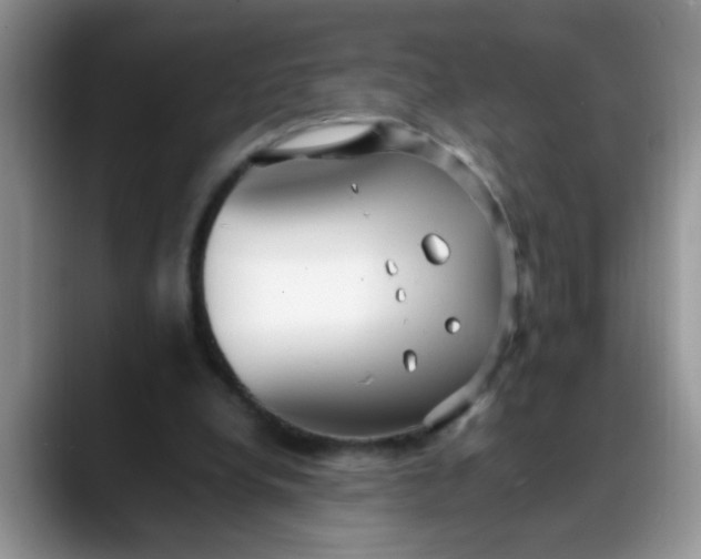 X0000088170248200705291937