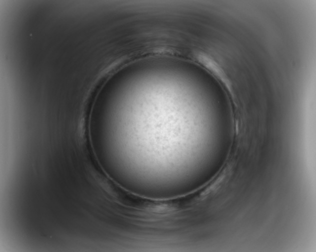 X0000088170249200705291937