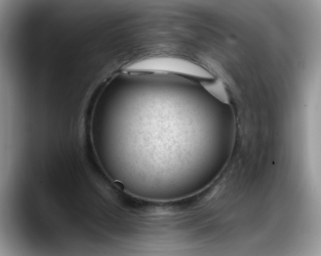 X0000088170250200705291937