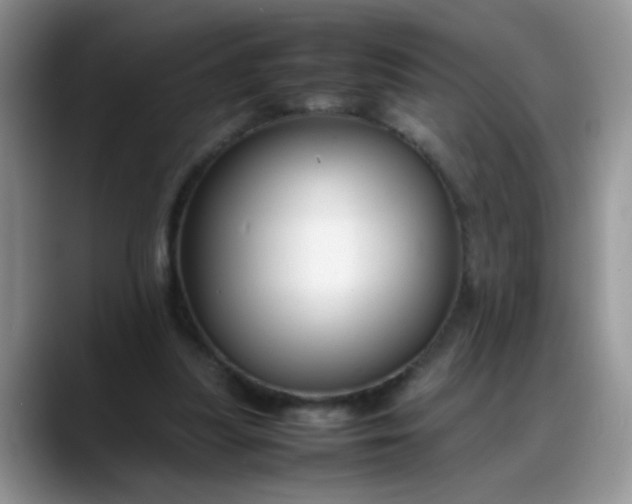 X0000088170251200705291937