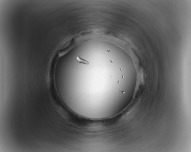 X0000088170252200705291937