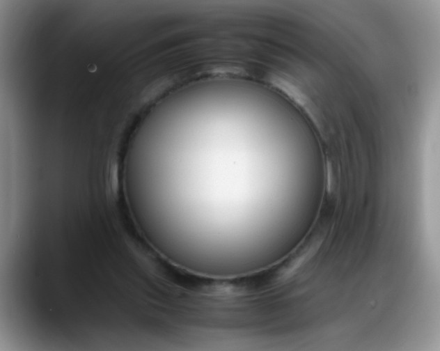 X0000088170253200705291937