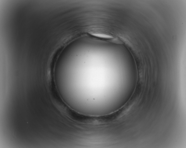 X0000088170254200705291937