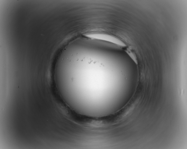 X0000088170256200705291937