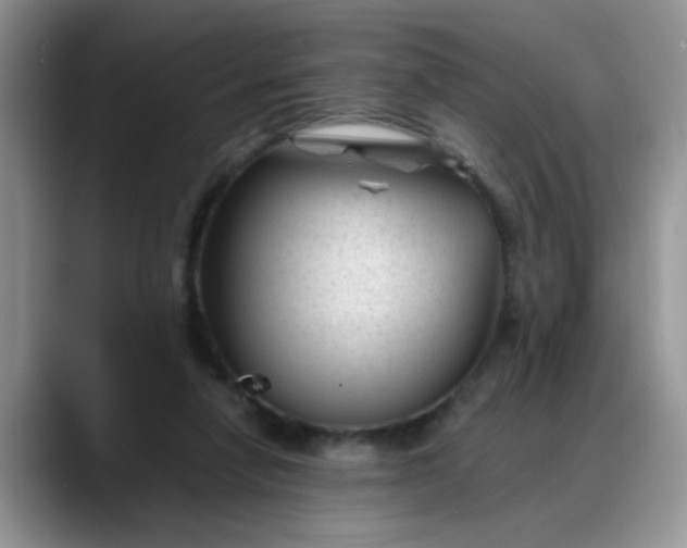 X0000088170258200705291937