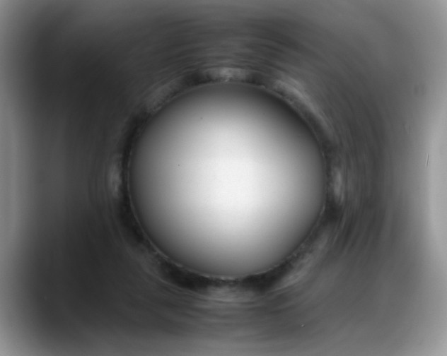 X0000088170259200705291937