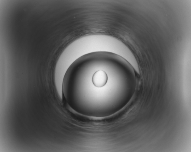 X0000088170260200705291937