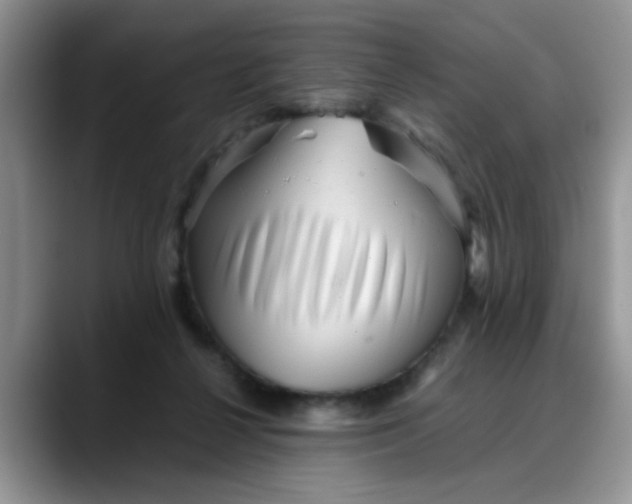 X0000088170264200705291937