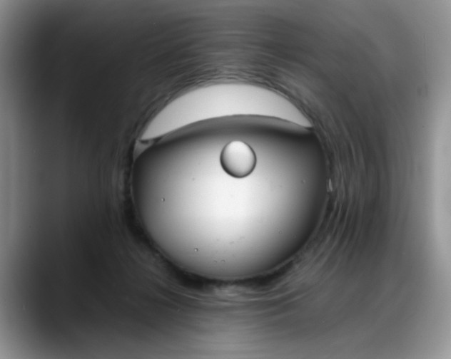 X0000088170268200705291937