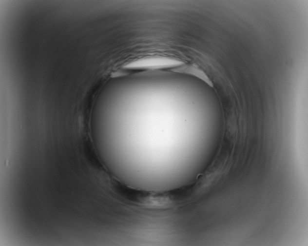 X0000088170270200705291937