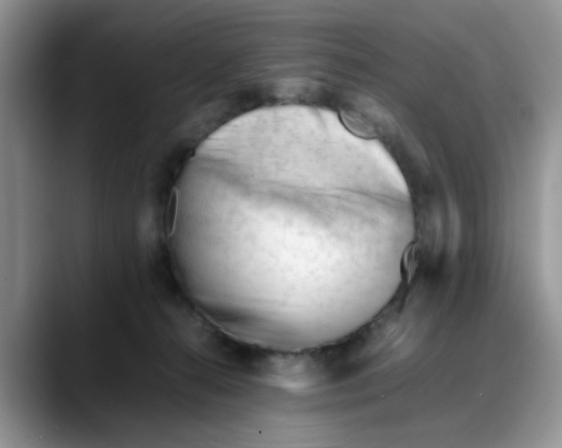 X0000088170272200705291937