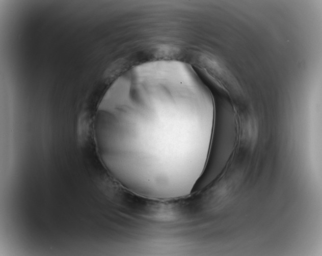 X0000088170276200705291938