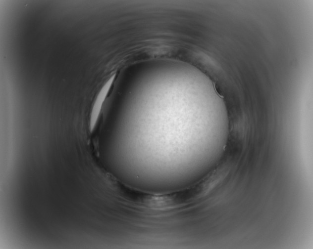 X0000088170277200705291938