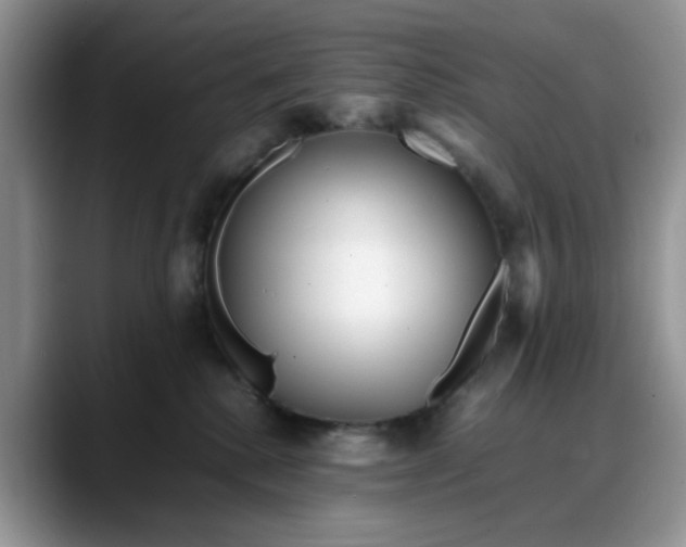 X0000088170280200705291938