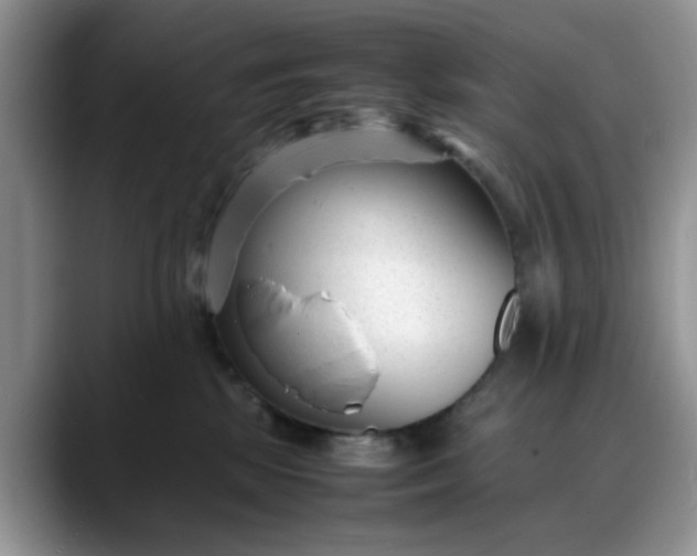 X0000088170281200705291938