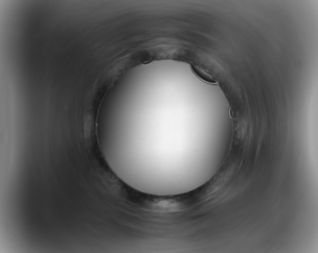 X0000088170283200705291938