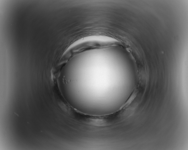 X0000088170284200705291938