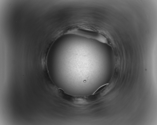 X0000088170285200705291938