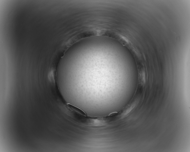 X0000088170286200705291938