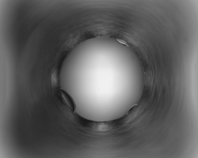 X0000088170287200705291938