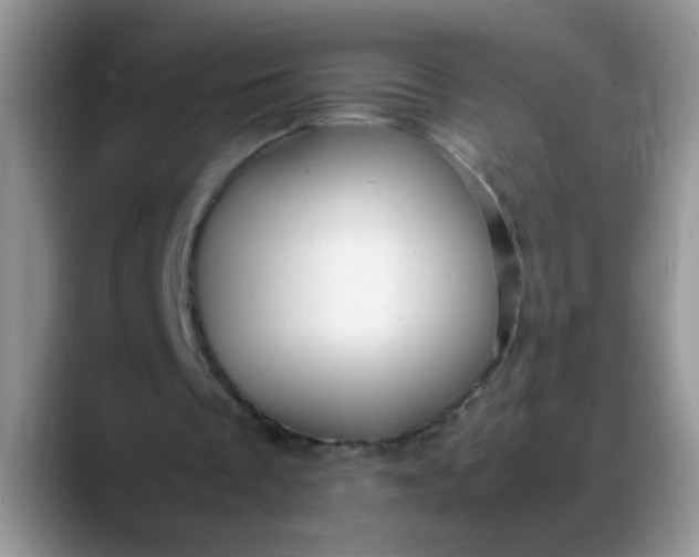 X0000088170289200705291937