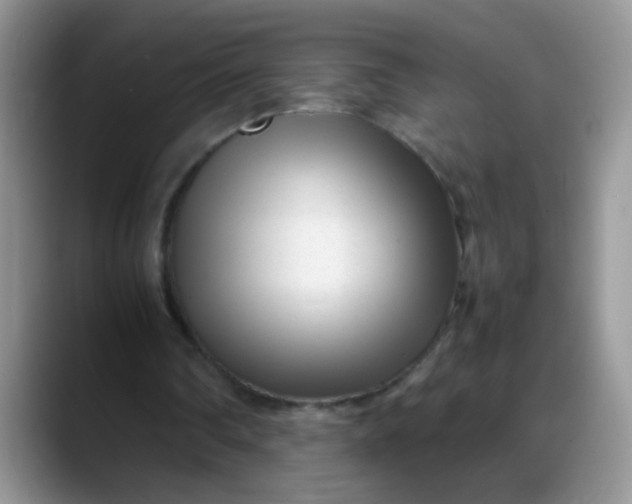 X0000088170290200705291937