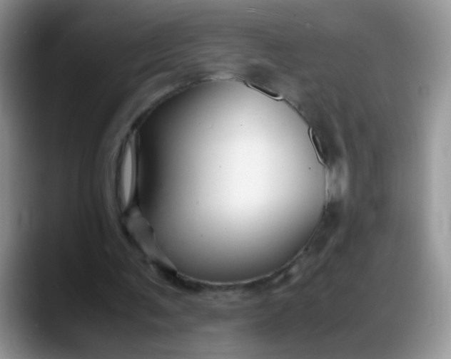 X0000088170291200705291937