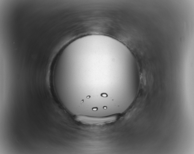 X0000088170292200705291937