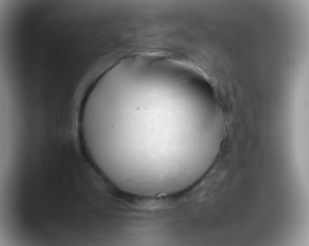 X0000088170293200705291937