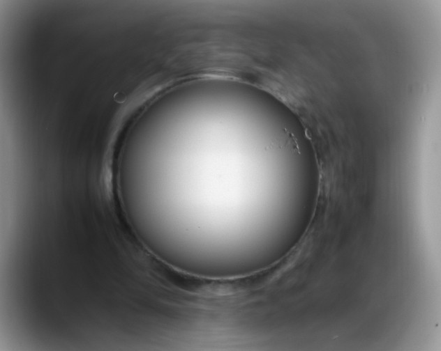 X0000088170294200705291937