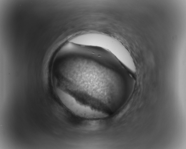 X0000088170295200705291937