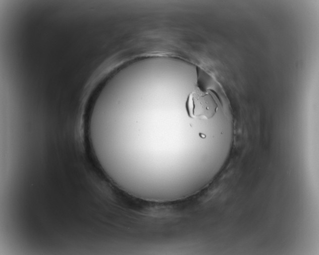 X0000088170296200705291937