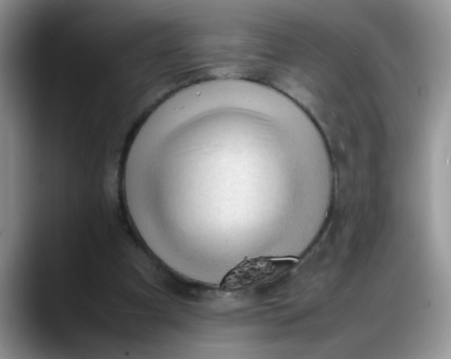 X0000088170297200705291937