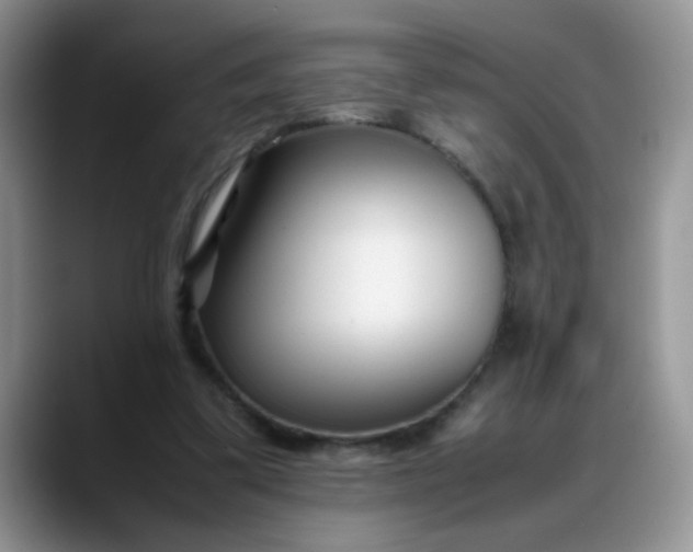 X0000088170299200705291937