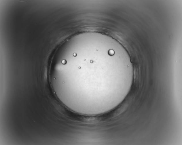 X0000088170301200705291937