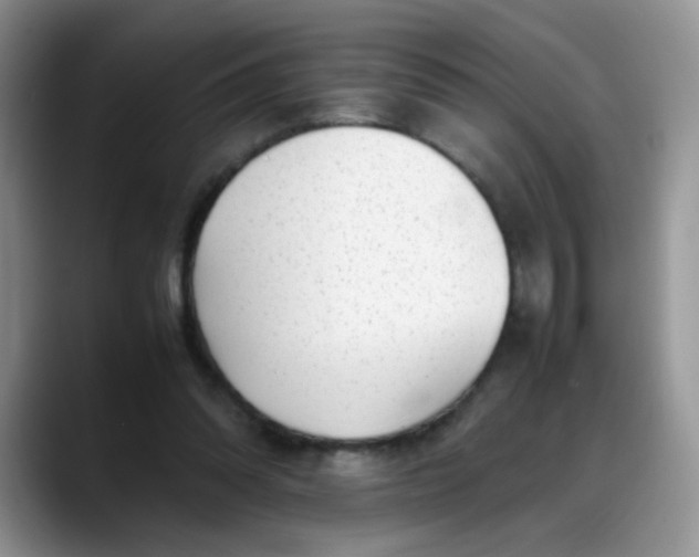 X0000088170302200705291937