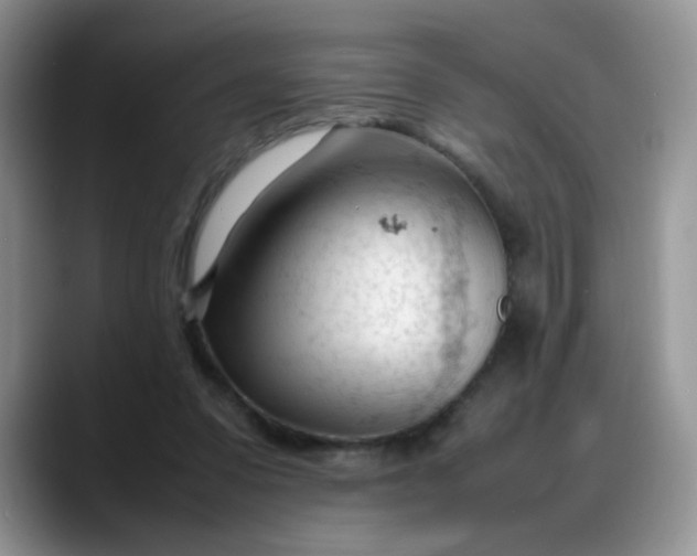 X0000088170303200705291937