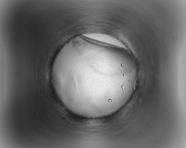 X0000088170305200705291937