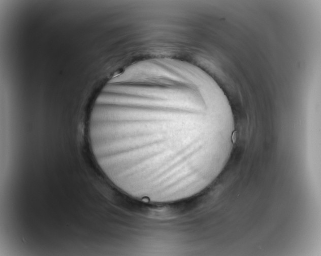 X0000088170309200705291937