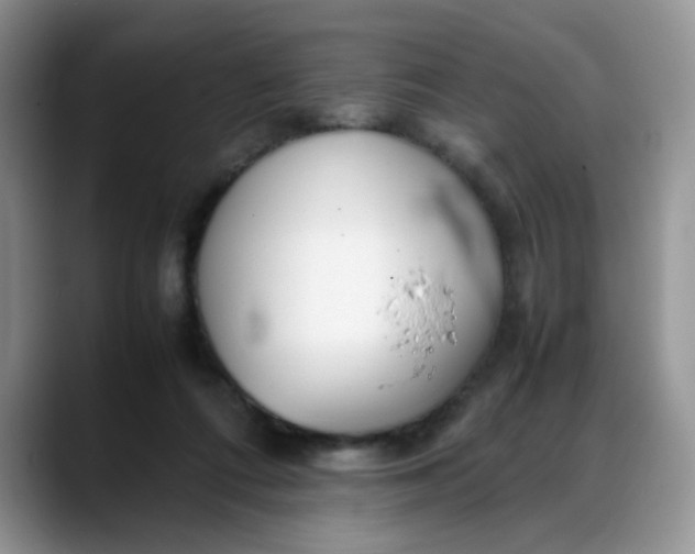 X0000088170312200705291937