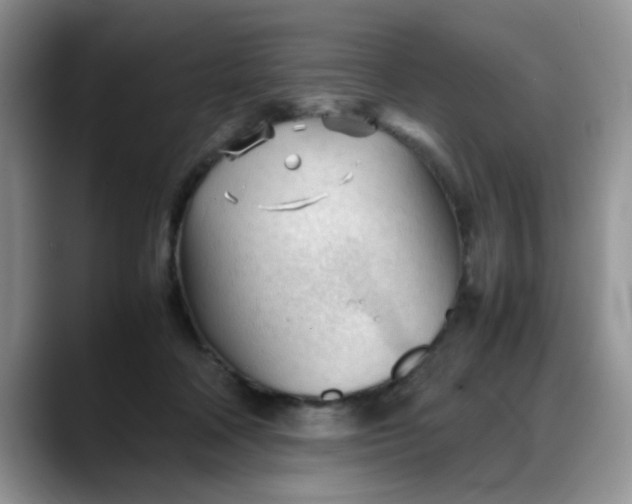 X0000088170314200705291937