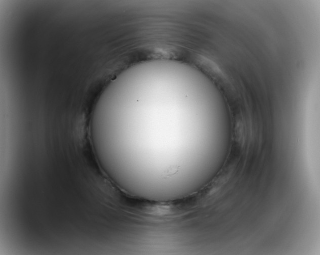 X0000088170318200705291937