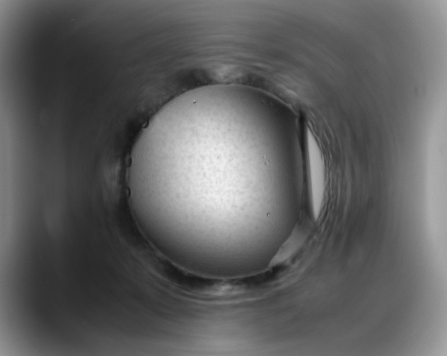 X0000088170319200705291937