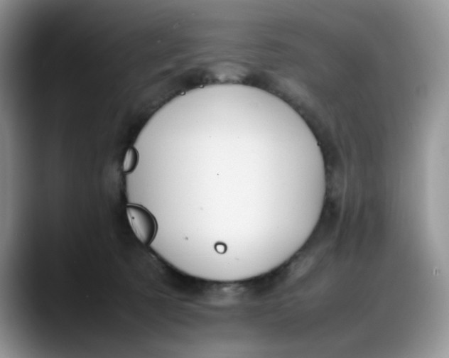 X0000088170321200705291937