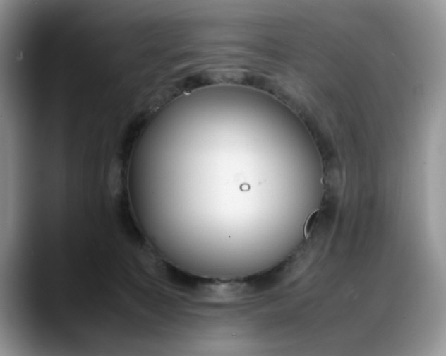 X0000088170323200705291937