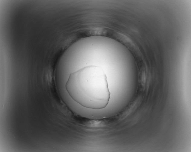 X0000088170326200705291937