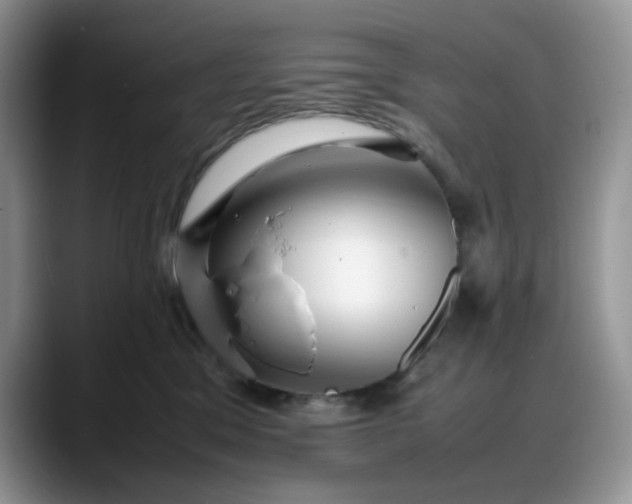 X0000088170329200705291937